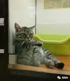 闺女你这屁有毒