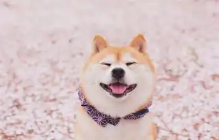 看这里新年你家狗子可以进地铁站啦