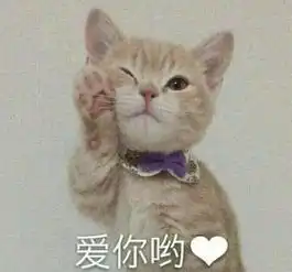 住手千万别给你家喵主子喂这些水果