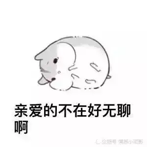 仓鼠表情包早上好吖宝宝
