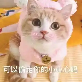 沙雕表情包在作死的边缘试探