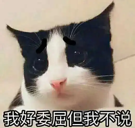 应届生初入职场的尴尬,你中枪了没