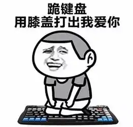 看了董卿的采访才明白,我们对努力有太多误解