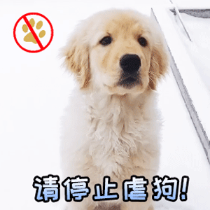 20个动态搞怪表情包气场全开,大哥你冷静一点