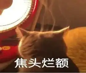 喵星群体冬天聚会,头上冒烟成全场亮点,猫舒服