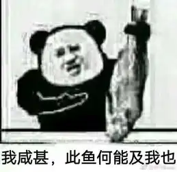 今早发现我