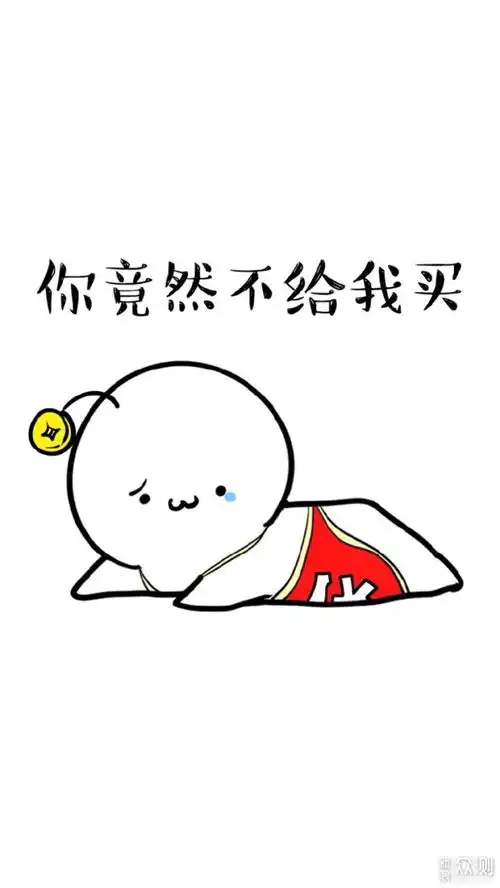 务实为主和你一起解读坚果r2手机新品发布会