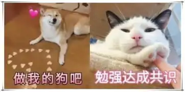 撒娇卖萌可甜可盐表情包别回头,身后万盏灯火,都不是归处
