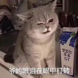 特务私藏真爱敏感肌的救命养肤型粉底液大公开