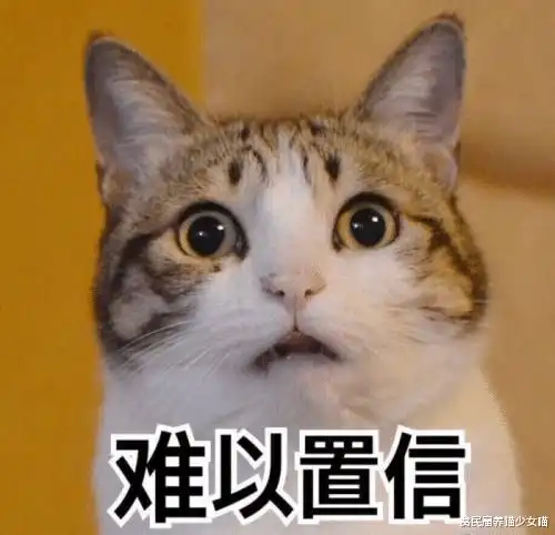 谁说田园猫不可爱,靠实力火遍全网,最火的还要数最后一只