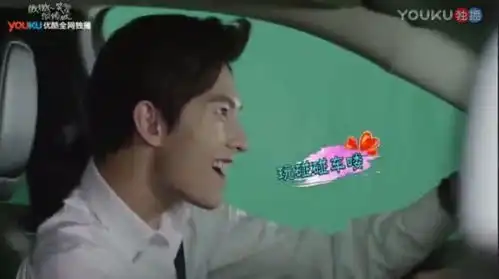 微微一笑很倾城大神的神车技幕后花絮,杨洋的表情碰碰车真好玩