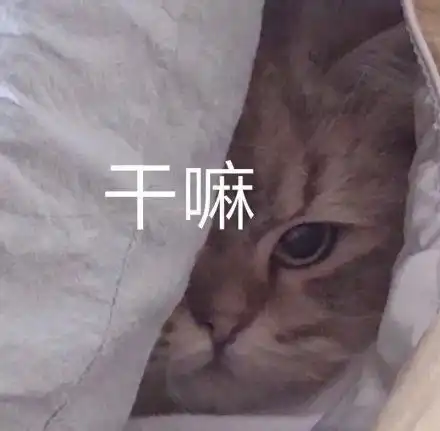 热门表情包拿图片舔狗日记学习手册
