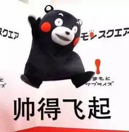 自信,是好好生活最大的底气