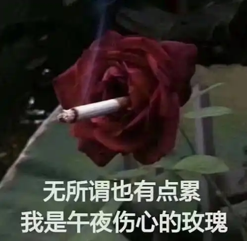 德欧能和好,贾乃亮和李小璐也快了吧