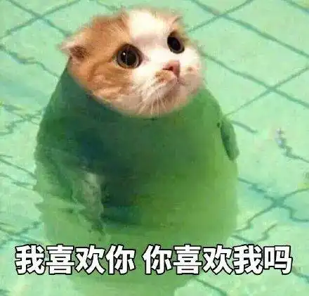 猫咪表情包是谁的眼神正在锁定你