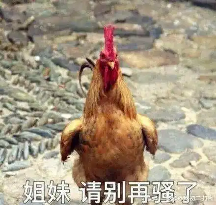 有没有这种互吹的表情包跟闺蜜聊天用的