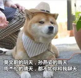 柴犬土味情话表情包合集你知道我的缺点是什么吗