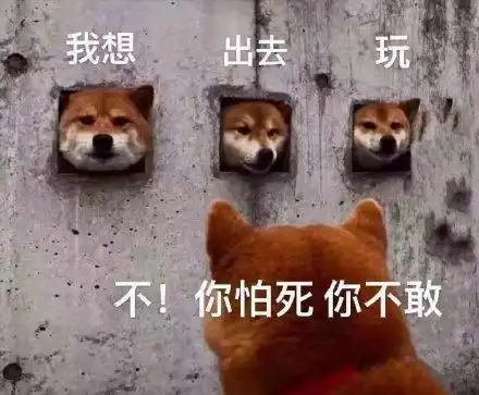 2020最新热门表情包我想出去玩,不,你不想,你没有口罩