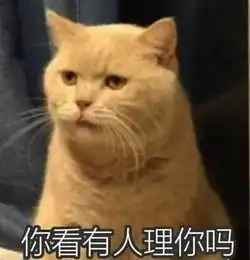 我进了20个吸猫群,就是为了收集猫咪表情包