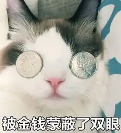 被金钱蒙蔽了双眼猫咪表情包
