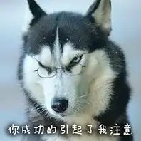 二哈表情包