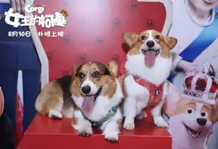 女王的柯基曝华丽唐风海报8月30日登陆全国院线