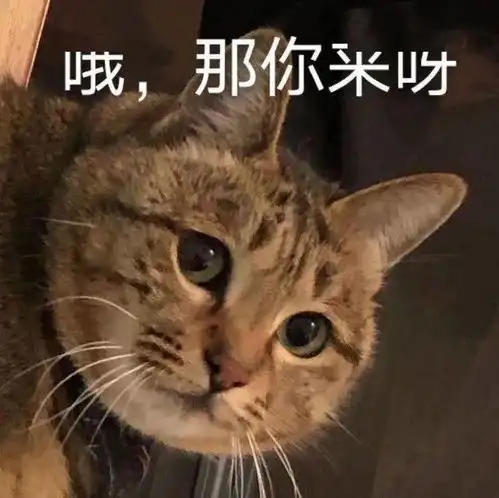 沙雕表情爷的眼泪在眼中打转