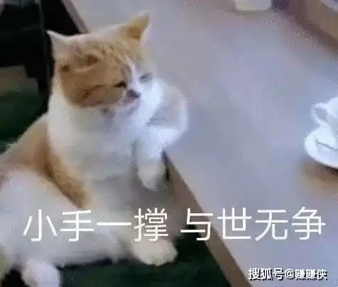 热门表情包图片请注意你的形象
