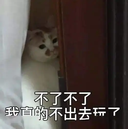 哈哈哈我不活啦