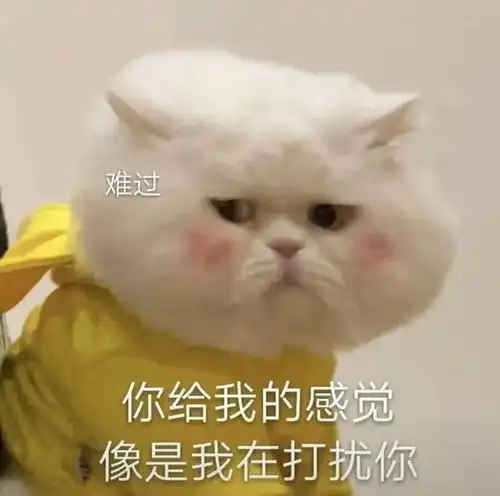 一些奇奇怪怪的猫猫表情包集合6