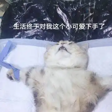 狐臭到底怎么回事原来是它在作怪