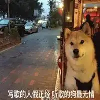 柴犬单身狗表情包微信头像图片大全