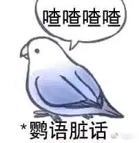 什么鸟表情包