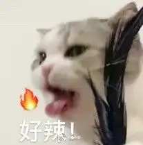 猫咪表情包香香软软的小泡芙专场今天是甜甜的小猫咪鸭
