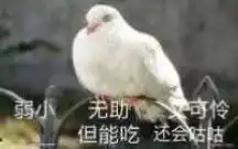 一个十连结束战斗
