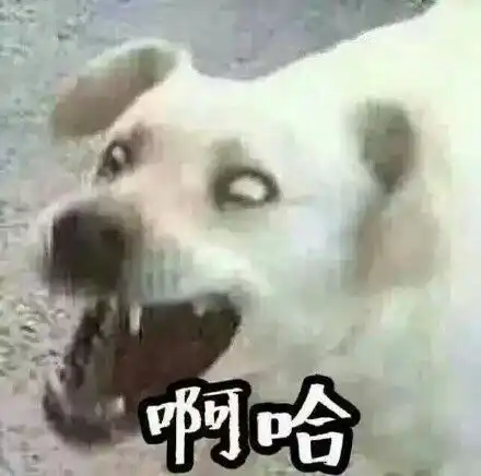 如果你是甜文里的女主,你会怎么做