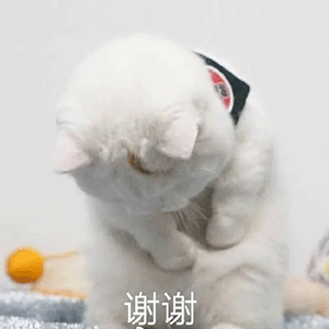 体验一次日入过万