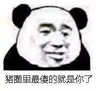 熊猫头表情包i一群神经病越说越带劲