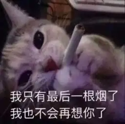 林熙照片林熙相册大全yy官方