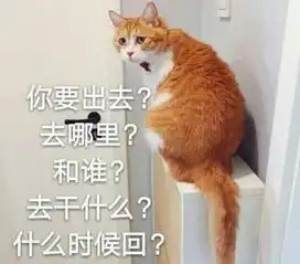 试问哪个女生,不想要这样一个机关枪男友呢