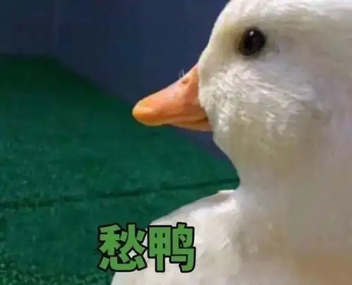 戚薇化了一个焦糖妆被说像杨颖,网友却说颈纹亮了
