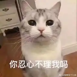 哄女朋友的表情包求求你了,漂亮姐姐