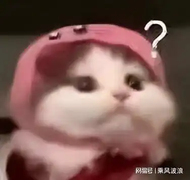 表情包问号表情包