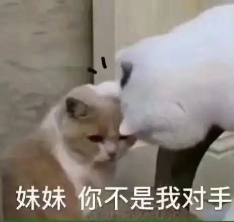 沙雕表情包文案渴望该死的爱情