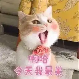 换季皮肤差,一招让你快速拥有好气色