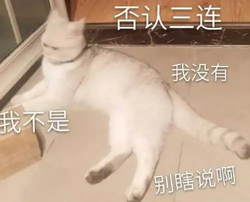 猫咪表情包第二波丨美丽的皮囊and有趣的灵魂,朕都有
