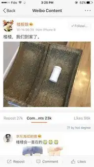 晚安了,我们最爱的表情包小猫咪楼楼,记得再回人间来