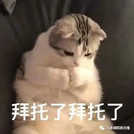 适合高考期间发的沙雕朋友圈文案,安排上了