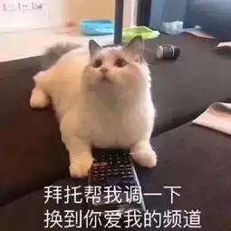 表情包我这么可爱,别人捡到是不会还你的