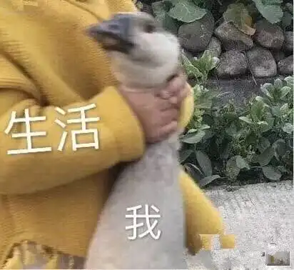 一个4㎡干湿分离的卫生间治好了我的中年焦虑
